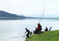 水库钓鱼技巧之分析鱼的习性（一）