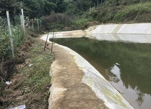 恋湖黄花基地