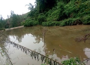 小沟鱼塘