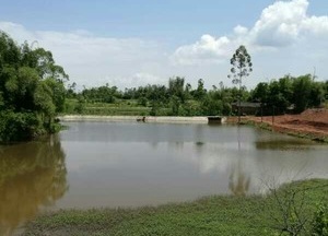 肖家湾钓场