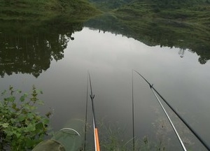 黄金河