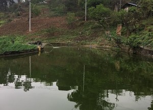 老余泉水鱼场天气预报