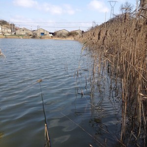 平地水库