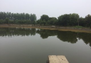 桂花园钓鱼场