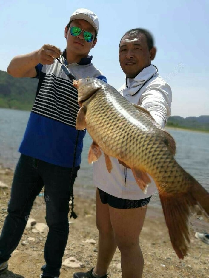 2017大风口水库 自制饵料钓鲤鱼 钓鱼之家