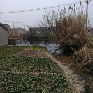 江都京杭运河支流