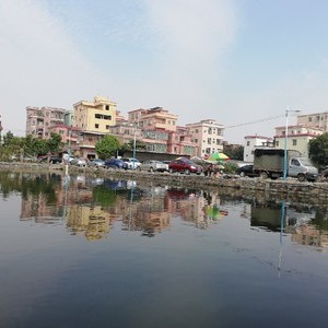 海南村钓鱼场