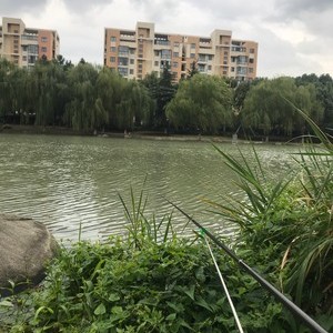 中塘河