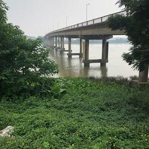 龙江河