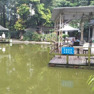 温江钓鱼茶室