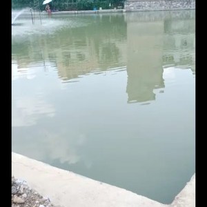 冯林龙井水约鱼园