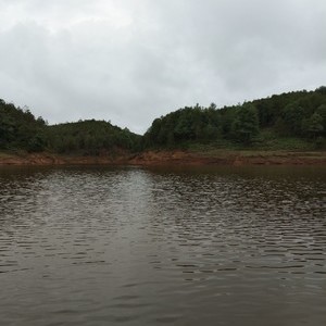 柳树河水库