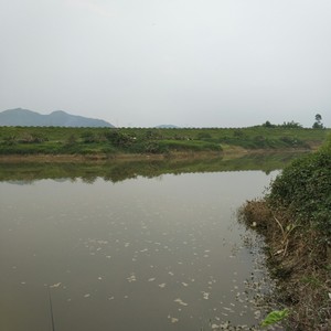 琶江河