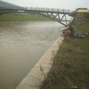 香草河