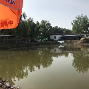 南阳湖农场兆虎渔场