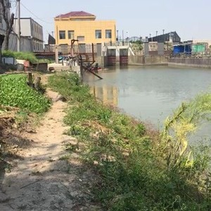 东林河