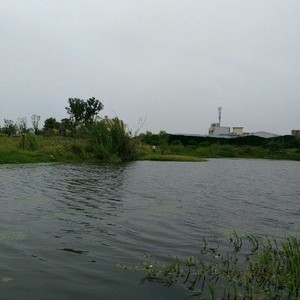 东湖钓鱼园