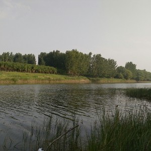 黑龙港河