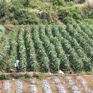 玉风水库