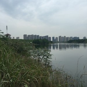 靳江河