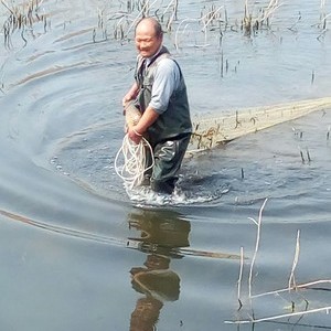 长青浑河