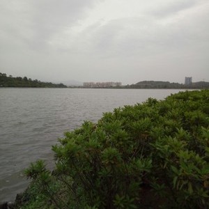 增城挂绿湖
