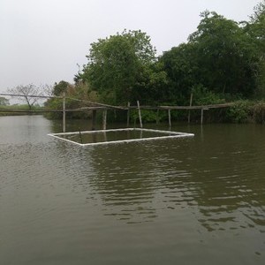 沐风雨天然钓场