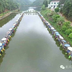 道山钓鱼基地