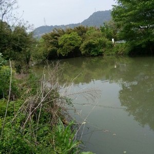 长河