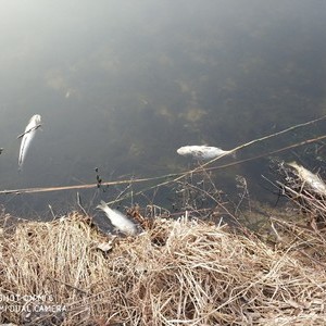 北关河风光带人工湖