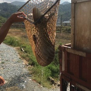 中方钓鱼岛竞技渔场