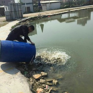 幸福钓场