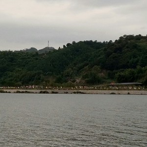 北江
