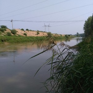 沁河