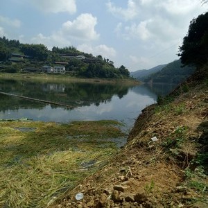 黄埔红旗水库图片