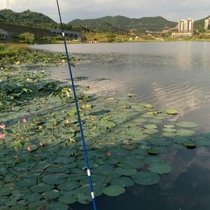 小河溪河