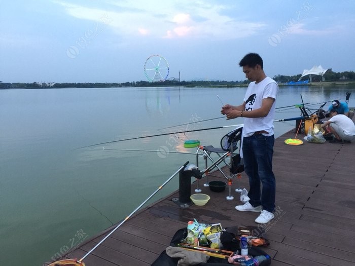 南京八卦洲钓鱼图片