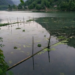 黄丹水库