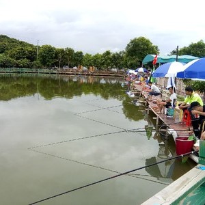 宝庆生态山庄