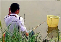 《陪着地瓜去钓鱼》20170624 地瓜北京郊区钓鲢鱼