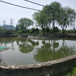 东连村生态钓场
