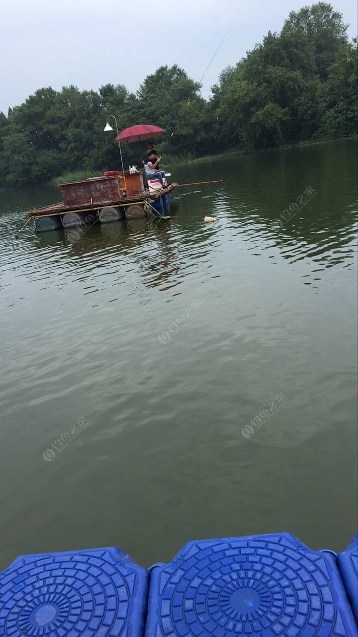 扬州某个水库 钓鱼之家饵料钓马口鱼