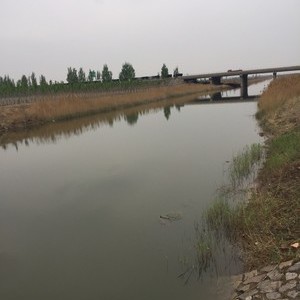 纪庄子河