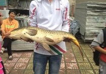 鱷魚王釣具