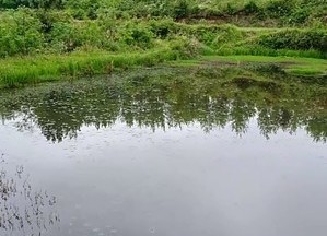 乌山土食家园农家乐