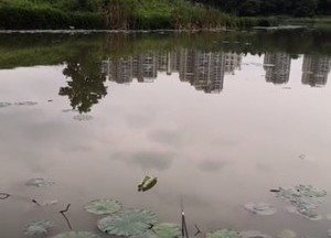龍溪湖度假村天气预报