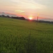 最美不过夕阳红