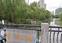 梧桐桥段景观河天气预报
